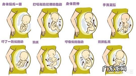 怀孕六个多月了，胎儿动的厉害，怎么回事？