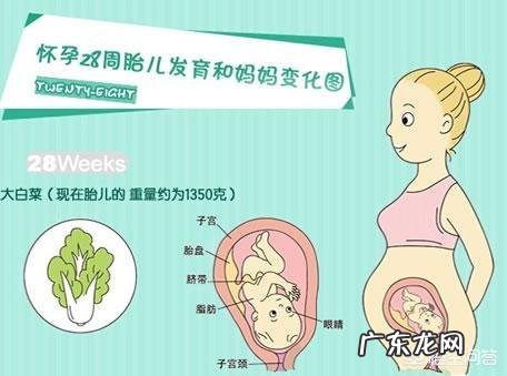 怀孕28周了,需要注意什么问题?