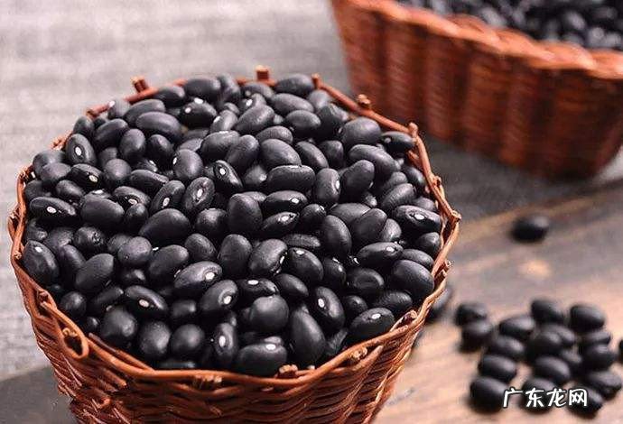 黑豆花盆种植方法
