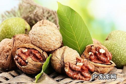 枸杞可以和哪些东西泡水喝?分别有什么作用?