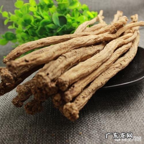 枸杞可以和哪些东西泡水喝?分别有什么作用?