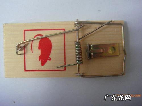 怎样才可以弄死老鼠
