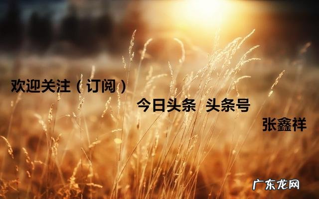 大学时期的社交重要吗?