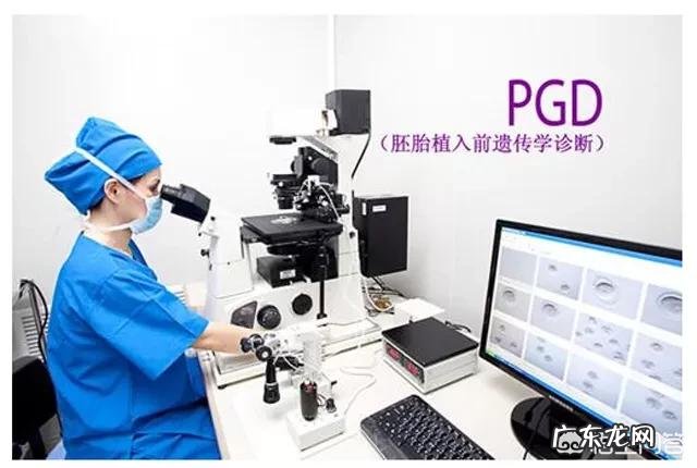 听说泰国试管婴儿可以自由选择胎儿性别,那要花多少钱?