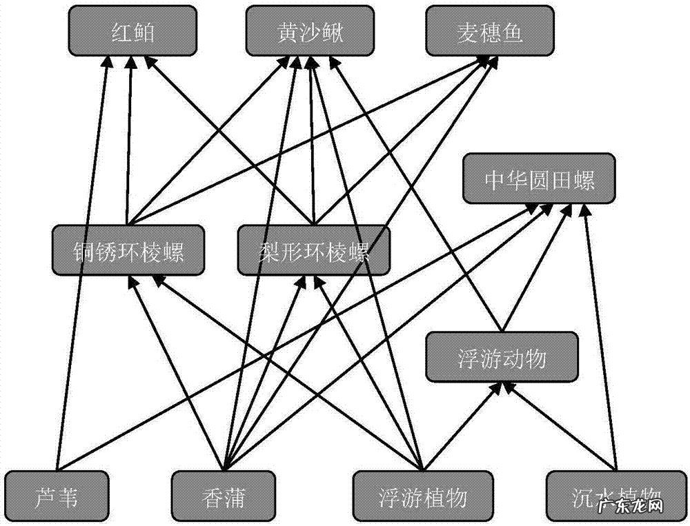 如果把地球上的蛇都消灭,会出现什么毁灭性的后果?