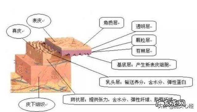 头层牛皮和二层牛皮的区别是什么？怎样的牛皮更好？