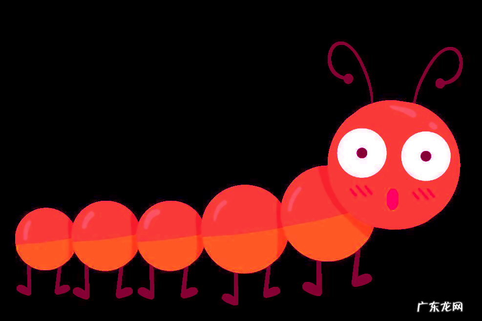 红虫怎么保存不会死