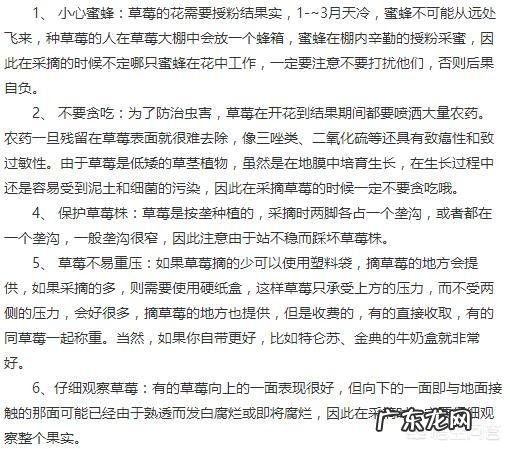 草莓一般在什么时候采摘？