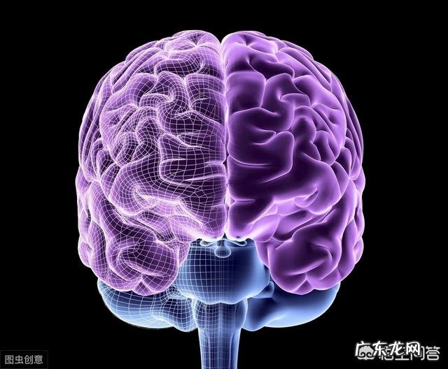 什么是逻辑思维又什么是抽象思维形象思维是什么?