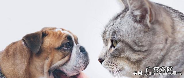 儿童居家需要注意哪些安全方面的问题?