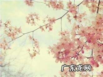 现代的小孩应该用怎么样的教育方式?