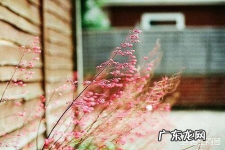 现代的小孩应该用怎么样的教育方式？