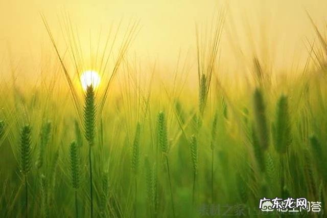 现代的小孩应该用怎么样的教育方式？