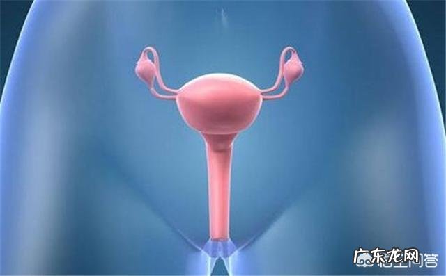 产后为什么要进行子宫恢复?