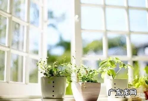 如何在产后42天科学坐月子呢?哺乳期有什么方法减肥呢?