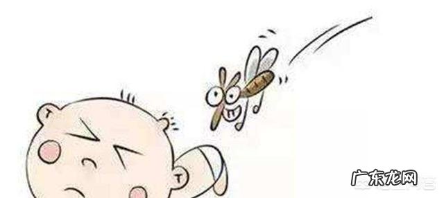 婴儿夏天最有效的驱蚊方法有什么？