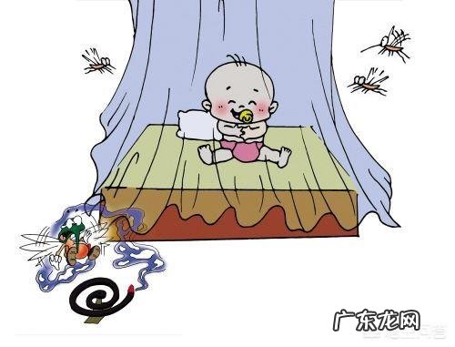 婴儿夏天最有效的驱蚊方法有什么？