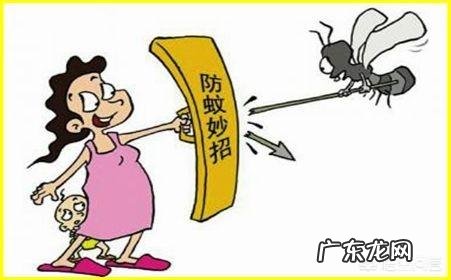 婴儿夏天最有效的驱蚊方法有什么？