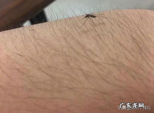 女生体毛旺盛该怎么办?