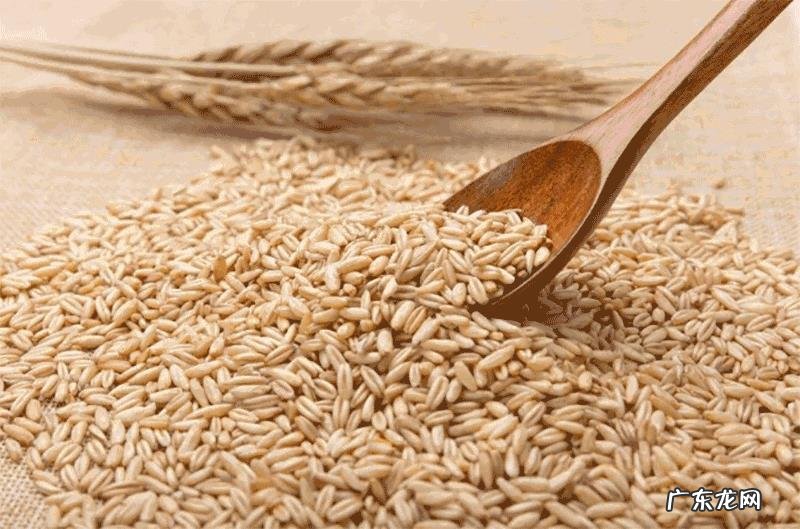 女性吃什么养生?