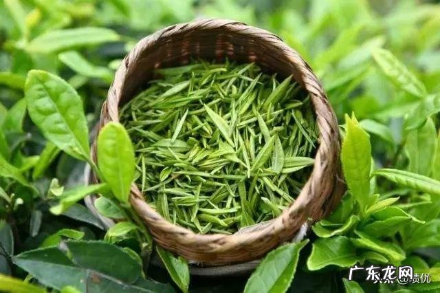 女性吃什么养生?