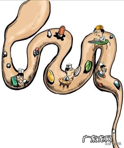 女性吃什么养生?