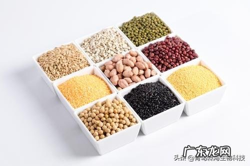 女性吃什么养生?