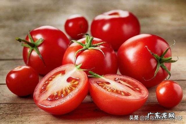 女性吃什么养生?