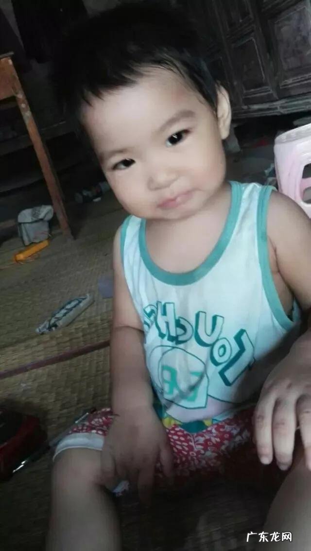 2段和1段奶粉的区别是什么?