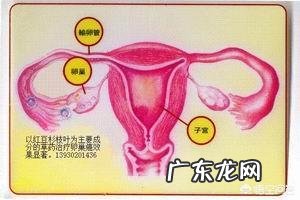 造成闭经的原因有哪些？