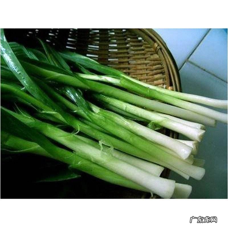 扁蒜叶怎么做才好吃