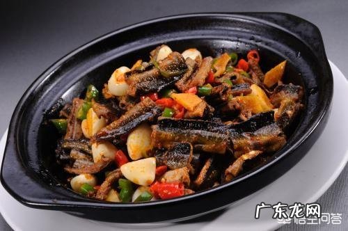 长鱼有什么营养价值?