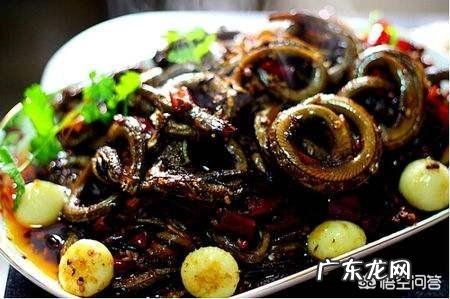 长鱼有什么营养价值?