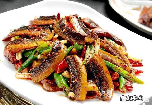 长鱼有什么营养价值?