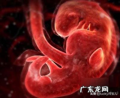 怀孕第一个月应该重点补充什么营养?