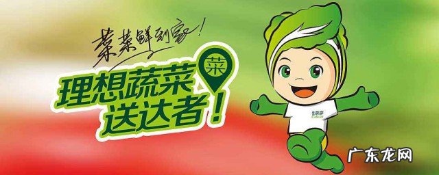 想做蔬菜配送怎么起步