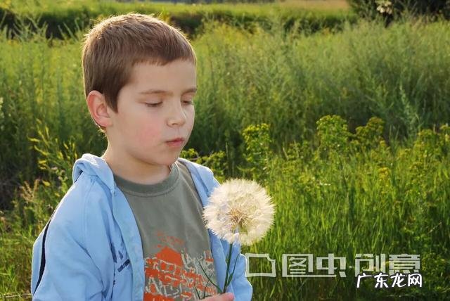 孩子成长的关键期,错过了怎么办?