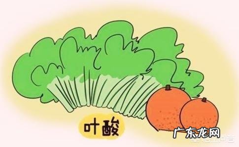 备孕时吃哪些食物比较好?有何依据?