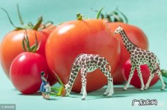 备孕时吃哪些食物比较好？有何依据？