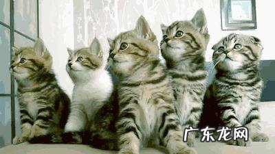 现在养一个孩子大概要花多少钱?