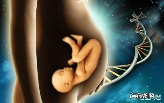 无创DNA什么情况下需要做?