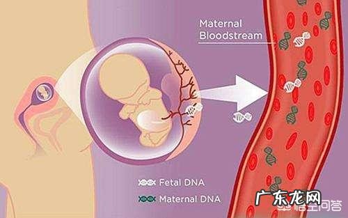 无创DNA什么情况下需要做?