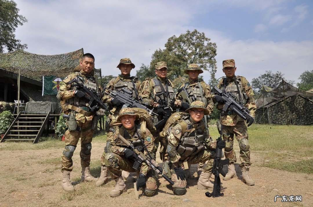 国产特种兵电视剧有哪些?