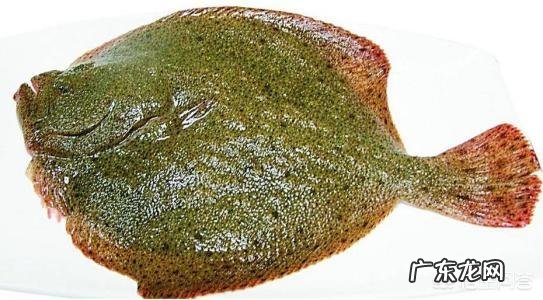 多宝鱼怎么做好吃?