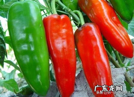 怀孕了想上网看看该吃什么,为什么网上有人说这东西能吃,有人说这东西不能吃,该怎么办?