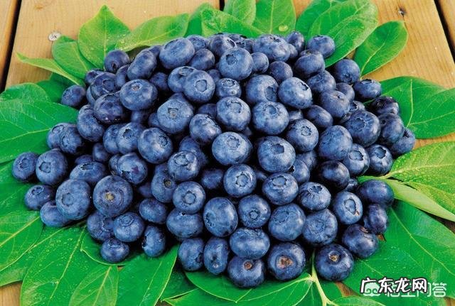 怀孕期间吃什么会让孩子既聪明又皮肤好?