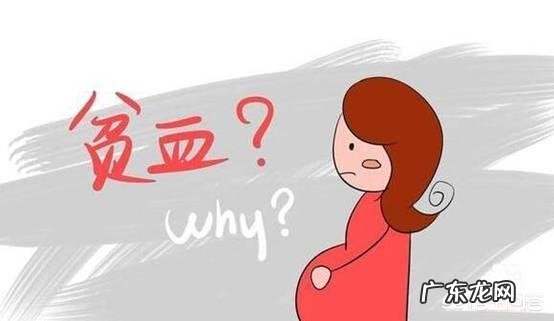 贫血怎么食补，吃什么呢？