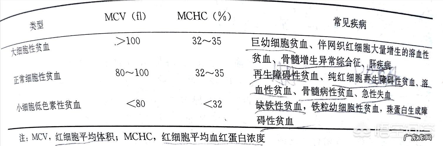 贫血怎么食补，吃什么呢？