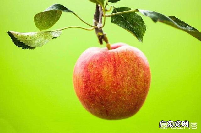 在孕期,不能吃哪些水果?