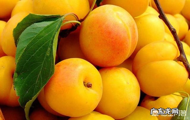 在孕期,不能吃哪些水果?